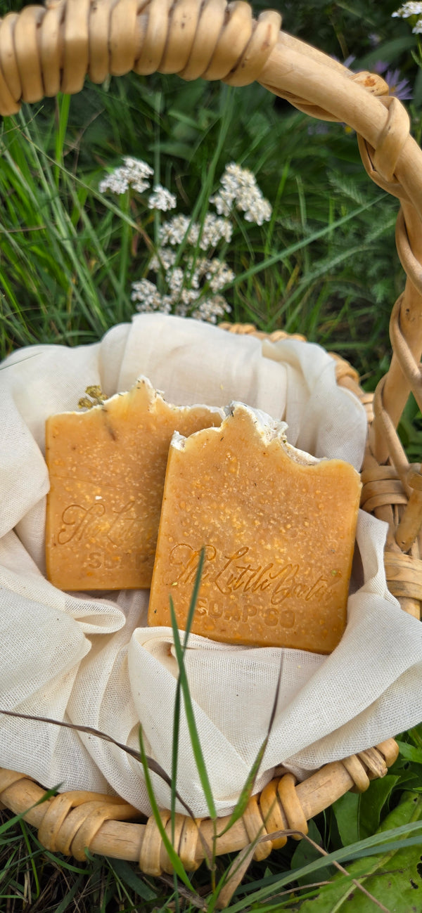 Citrus Yarrow